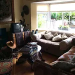 Ace Guest House