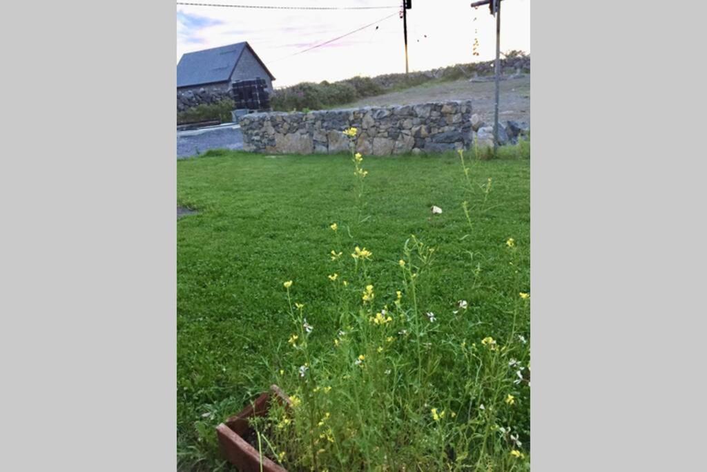 Tigh Noor - Escape To Kinvara By The Sea! *