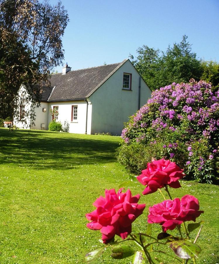 Clonmoylan - Rose Holiday home