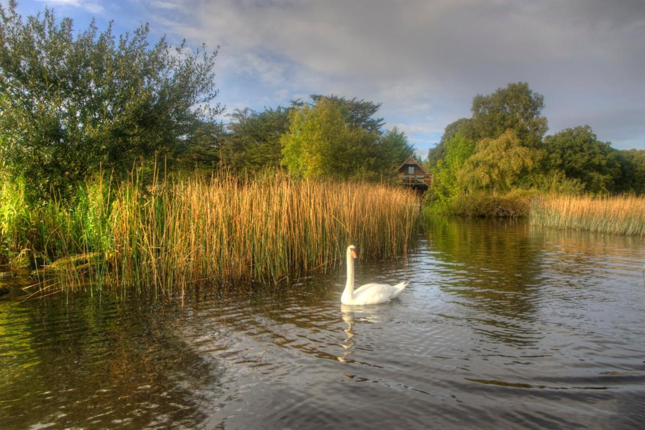 Holiday home Clonmoylan - Rose