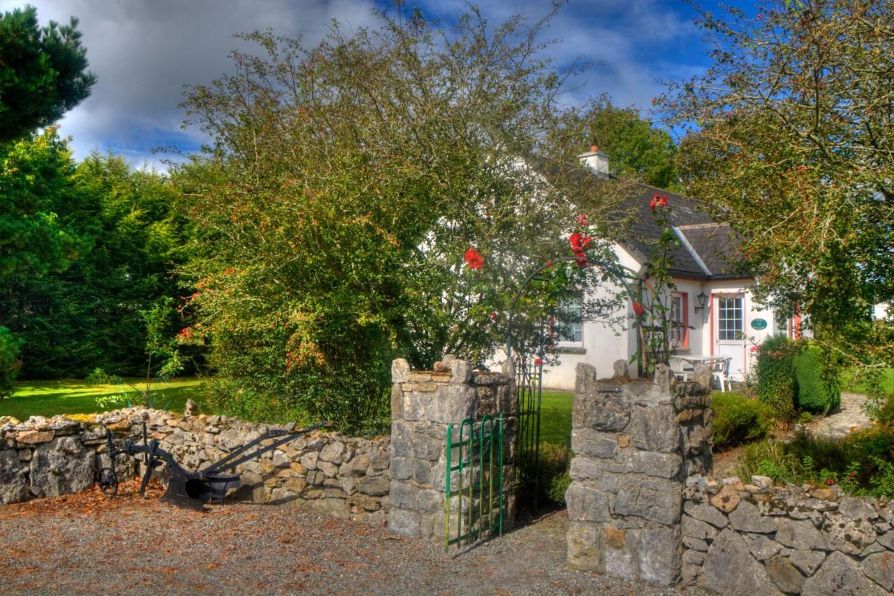 Holiday home Clonmoylan - Rose