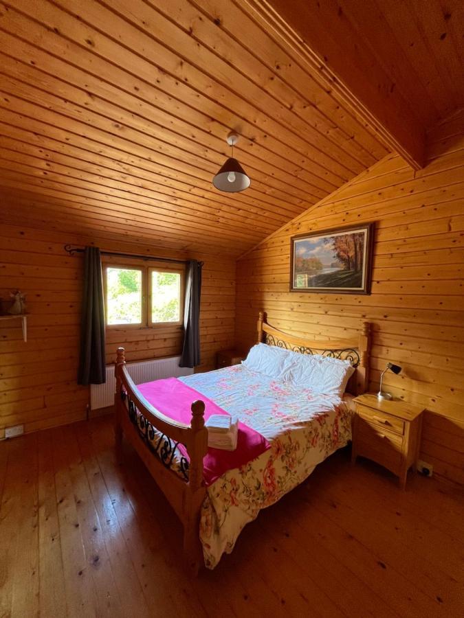 Red Squirrel Chalet Galway
