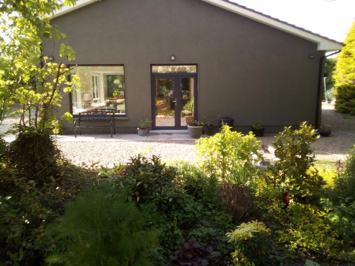 Apartment Spacious Contemporary Type Apartment. Galway