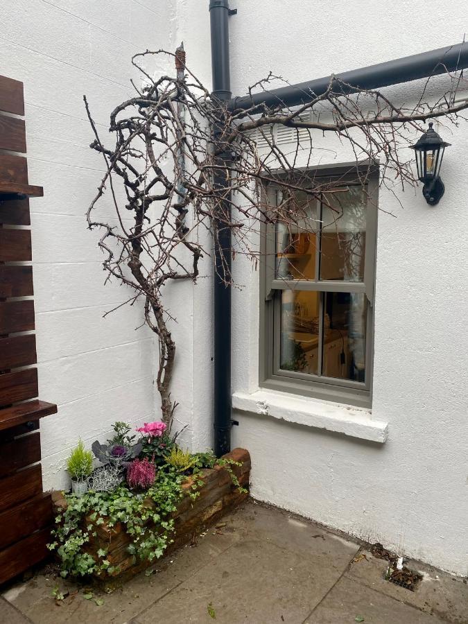 Number 31 Boutique Townhouse Guest house