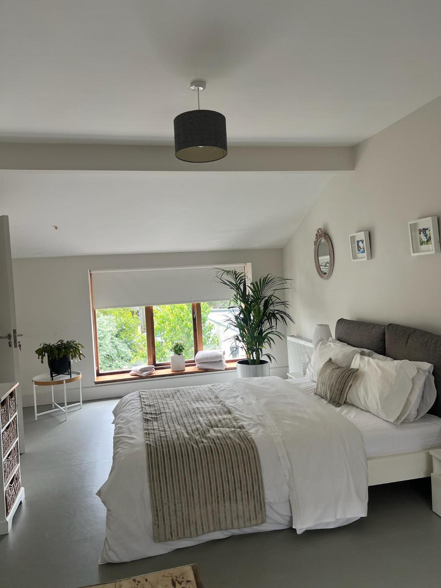Blue Door Canal House Apartment Galway