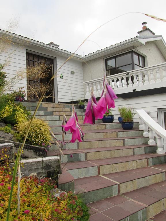 Bed & Breakfast Kilbree House 4*