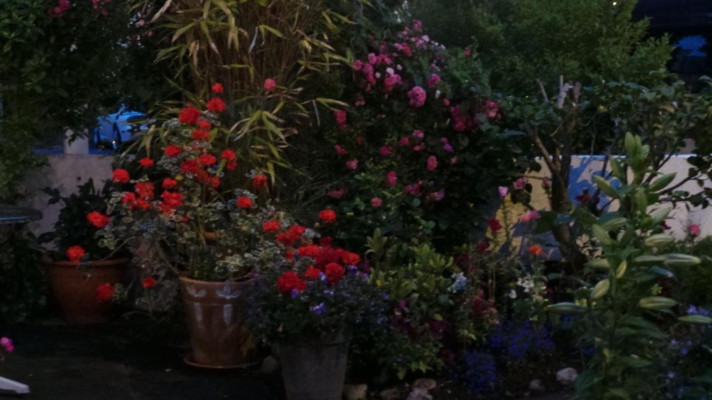 Guest house Inishmore House 3*