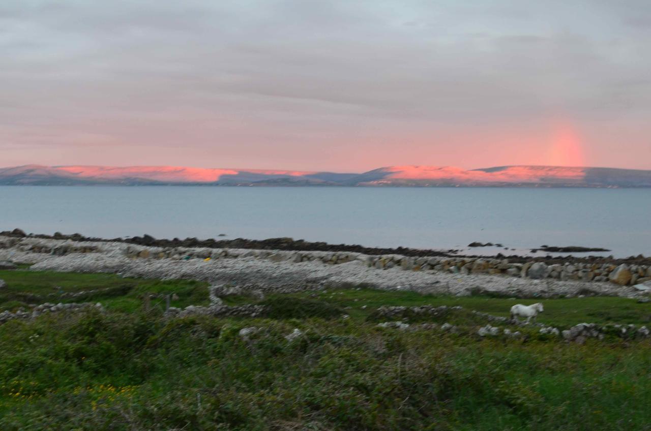 Barna Sea View *