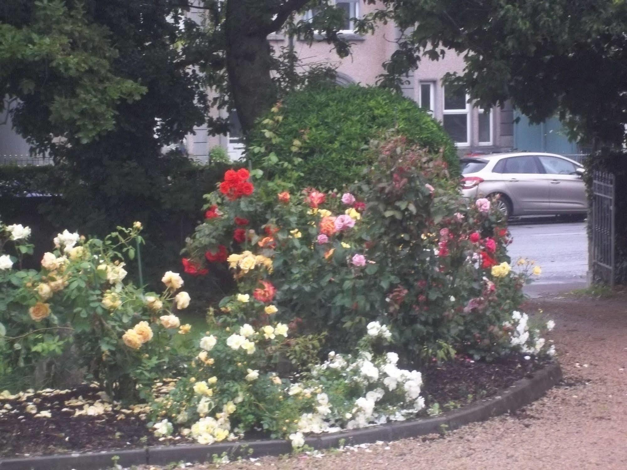 Bed & Breakfast St Judes 3*