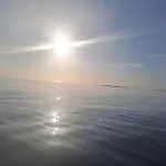 The Haven