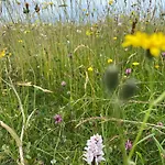 Burren Nature Sanctuary Apartment