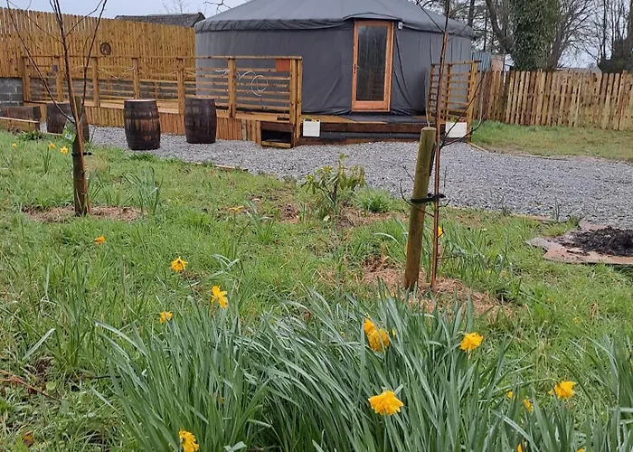 The Snowdrop
