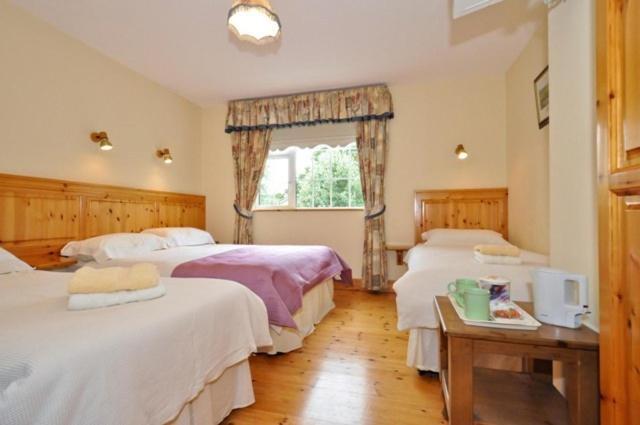 Bed & Breakfast Shanlin House Galway