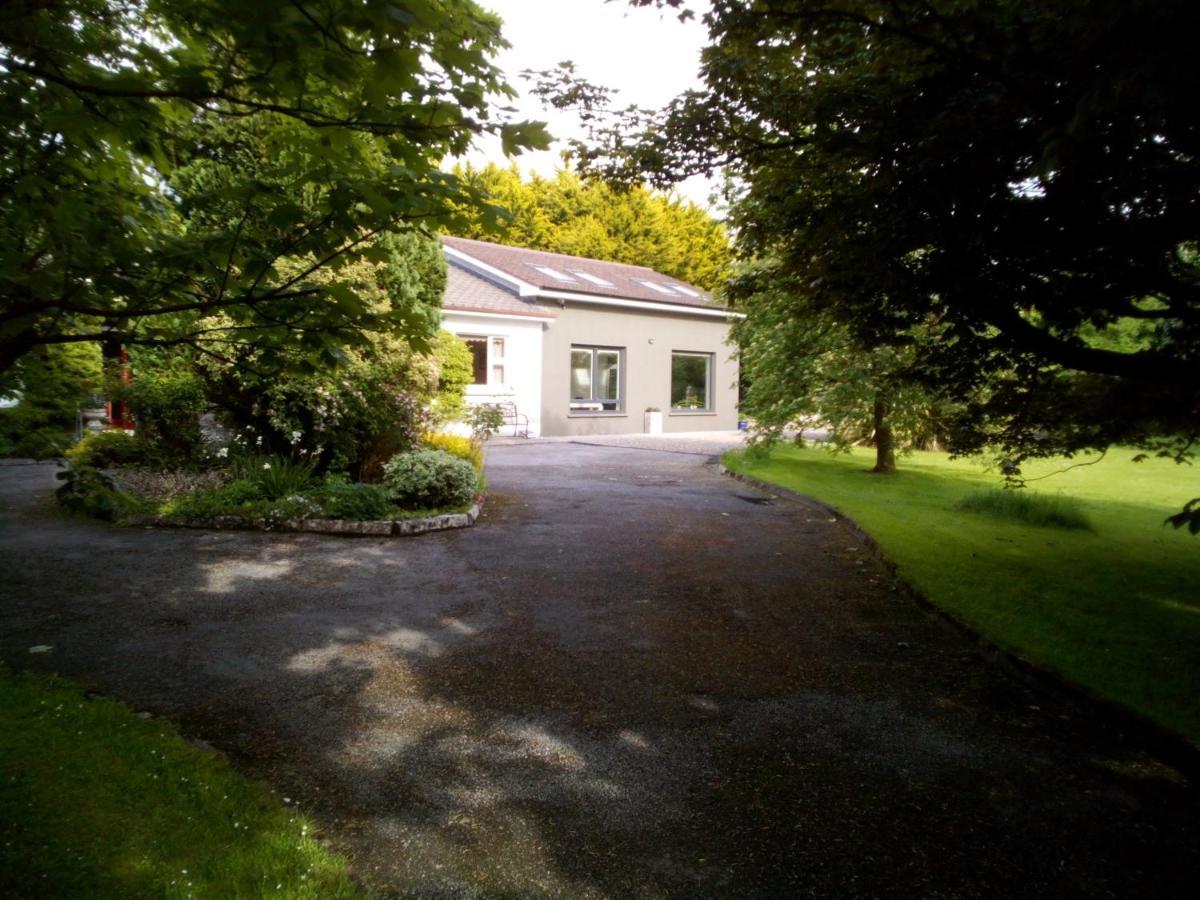 Spacious Contemporary Chalet Type Apartment. Apartment Galway