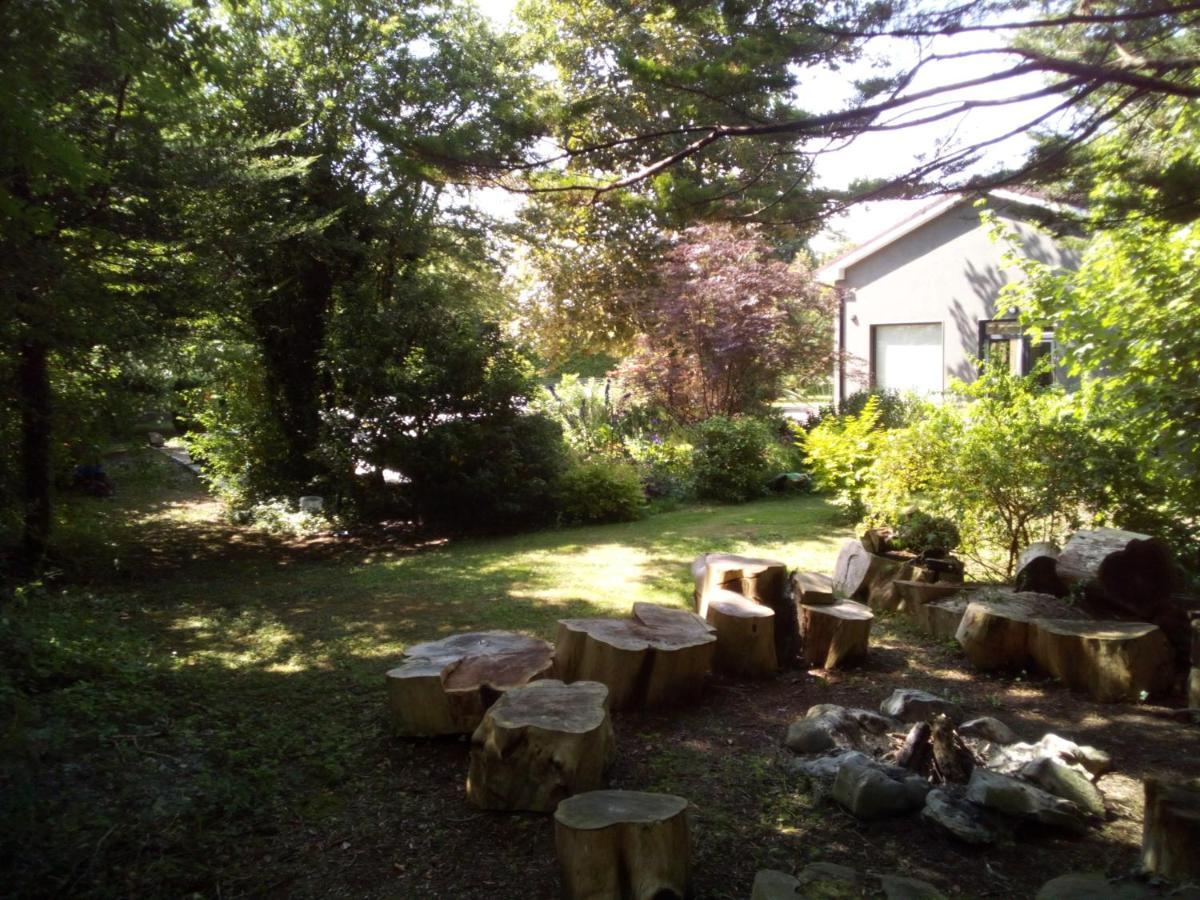 Spacious Contemporary Chalet Type Apartment. Galway