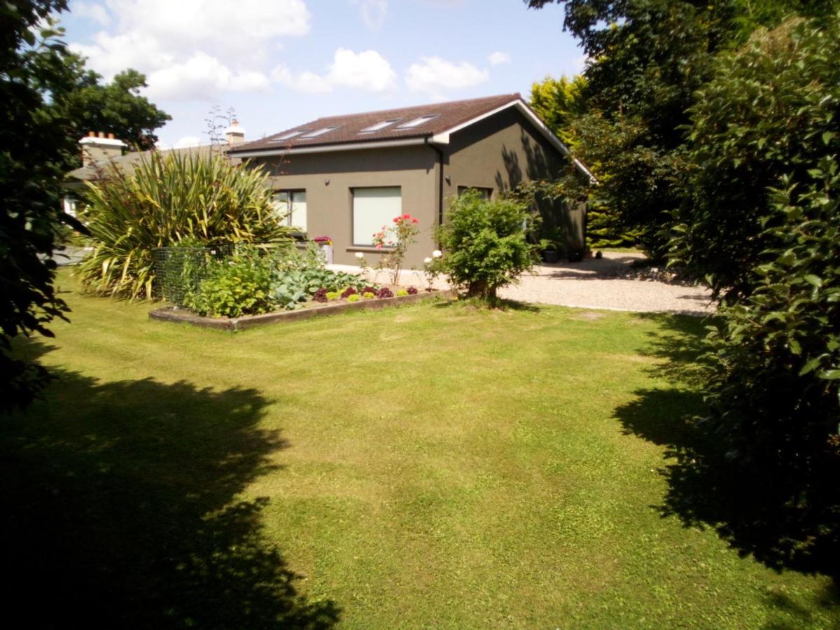 Spacious Contemporary Chalet Type Apartment. Apartment *