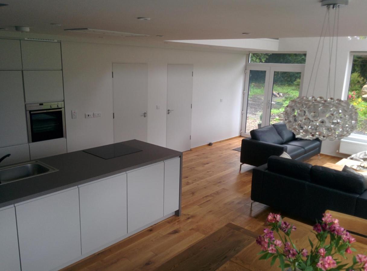 Spacious Contemporary Chalet Type Apartment. Galway