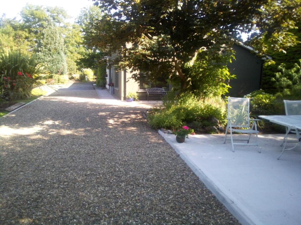 Spacious Contemporary Type Apartment. * Galway