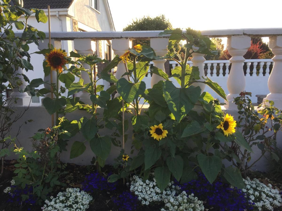 Seacrest Bed & Breakfast Galway