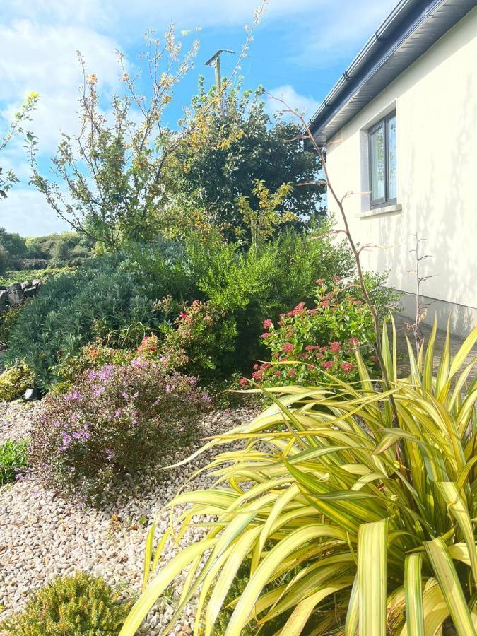 Butterfly - Entire Within 5km Of * Galway