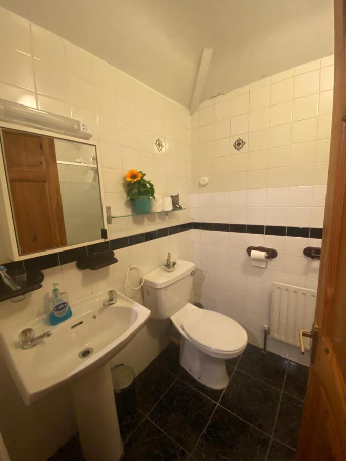 Cosy Centre Guest Shared Homestay *