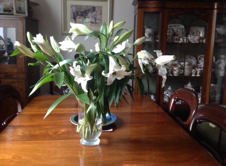 Padua House Bed & Breakfast