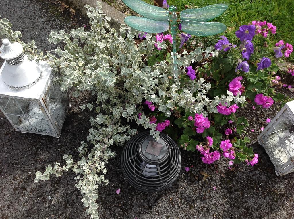 Padua House Bed & Breakfast Galway