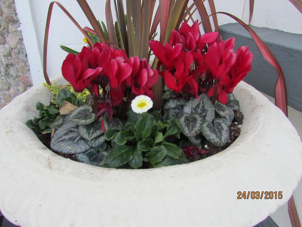 Bay View Guest House And B&B 3*