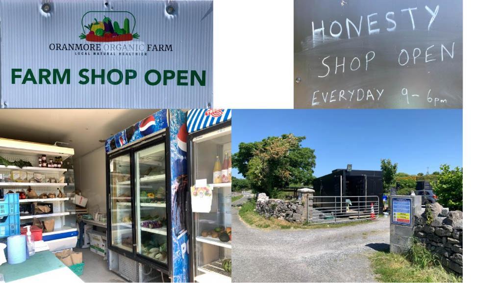 The Cosy Studio By The Shore Apartment Galway