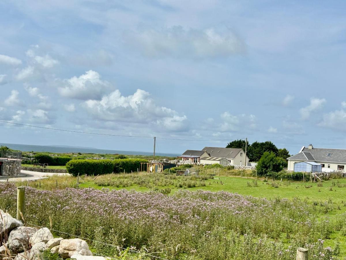 Ocean View House -connemarra
