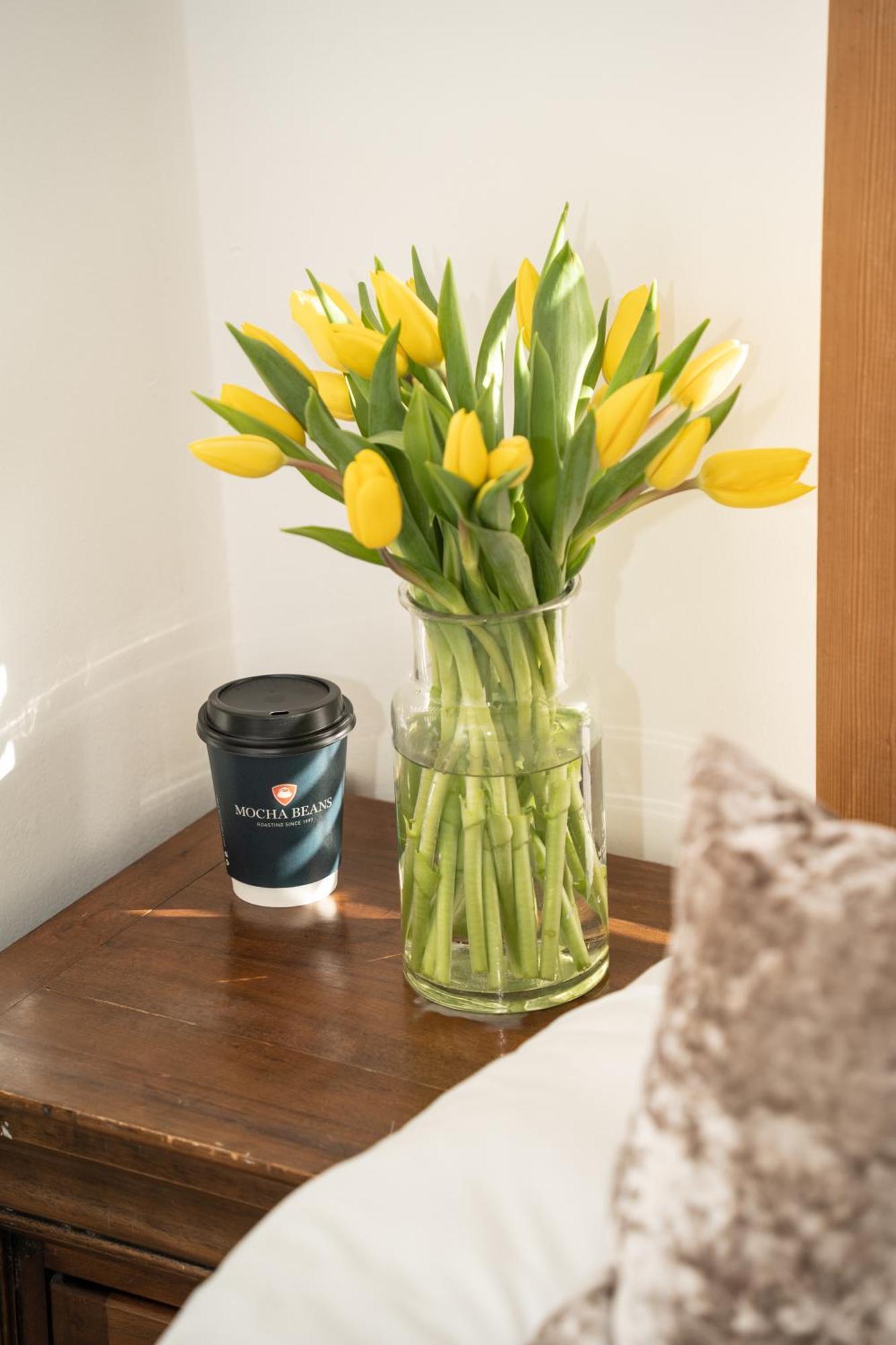 Mocha Newcastle Bed & Breakfast Galway