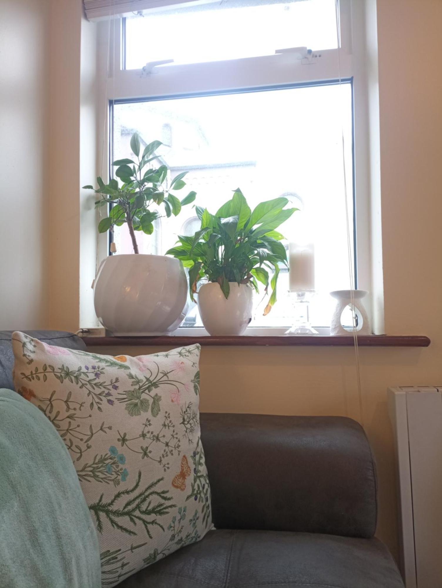 Salthill Homestay Galway