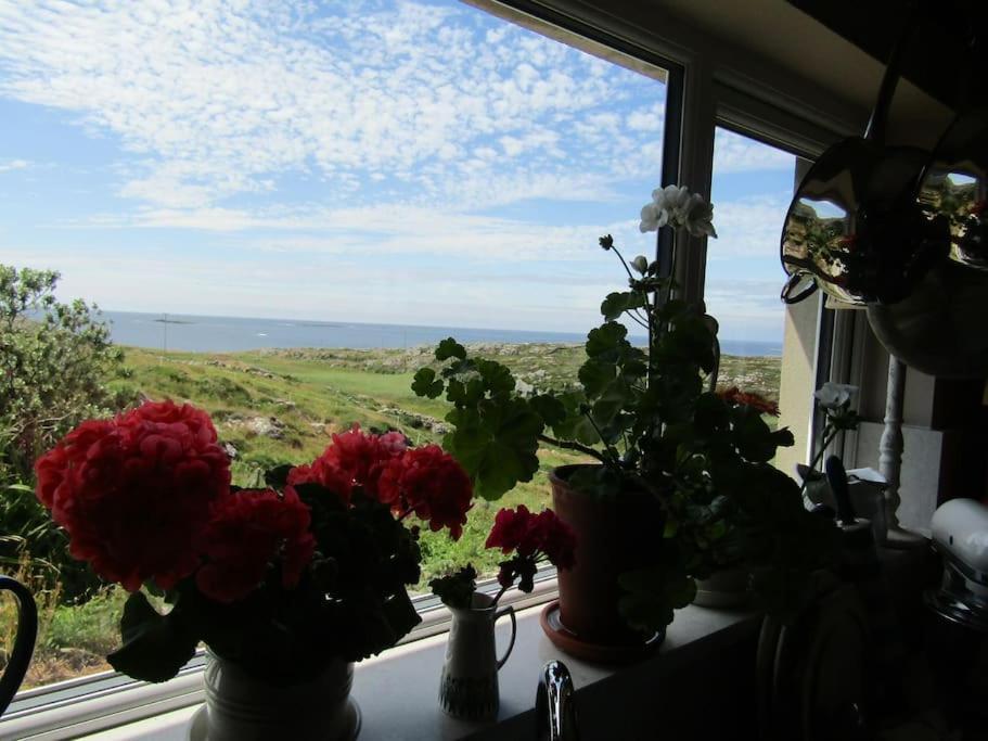 Furthest Point West Homestay Galway