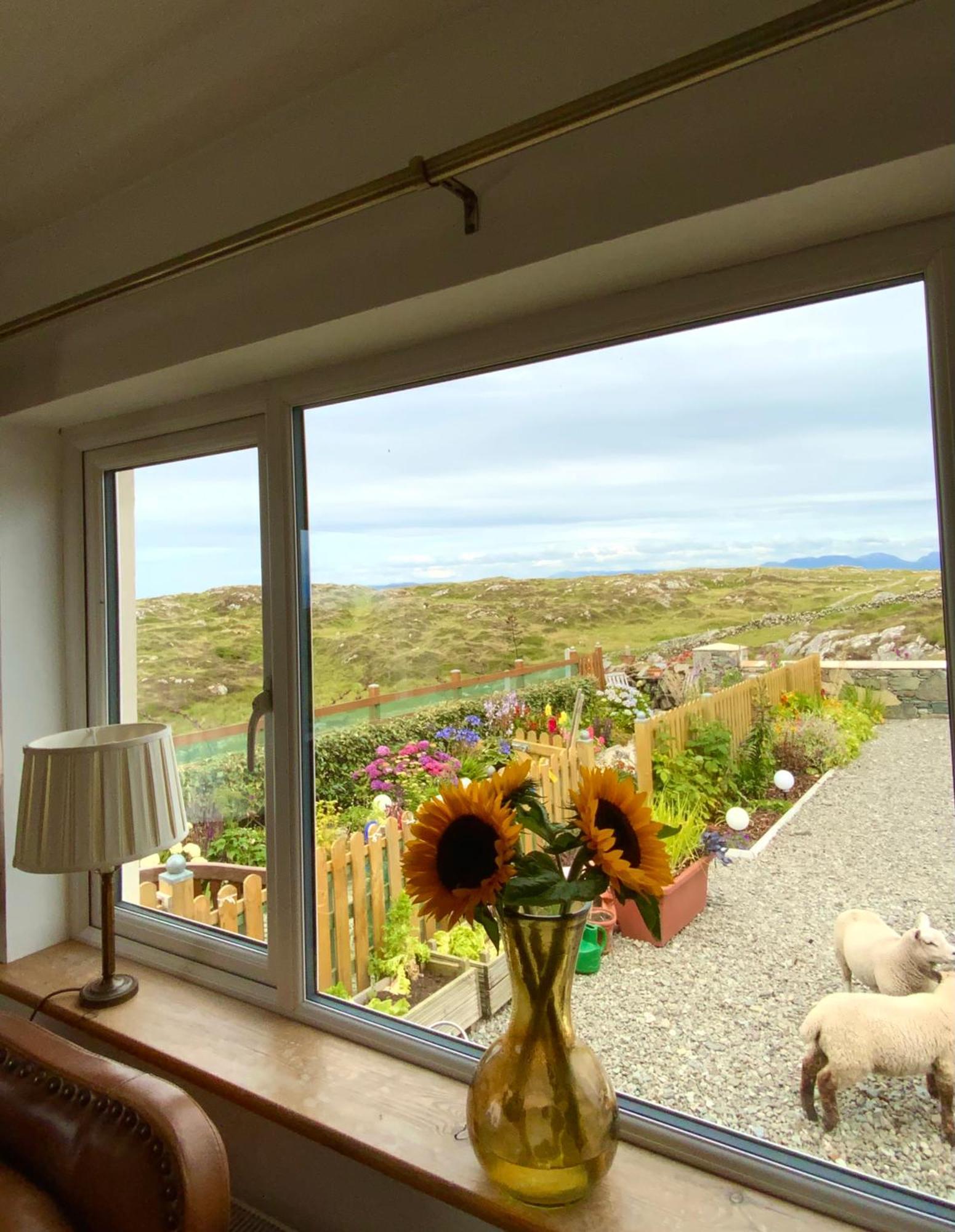 Homestay Furthest Point West *