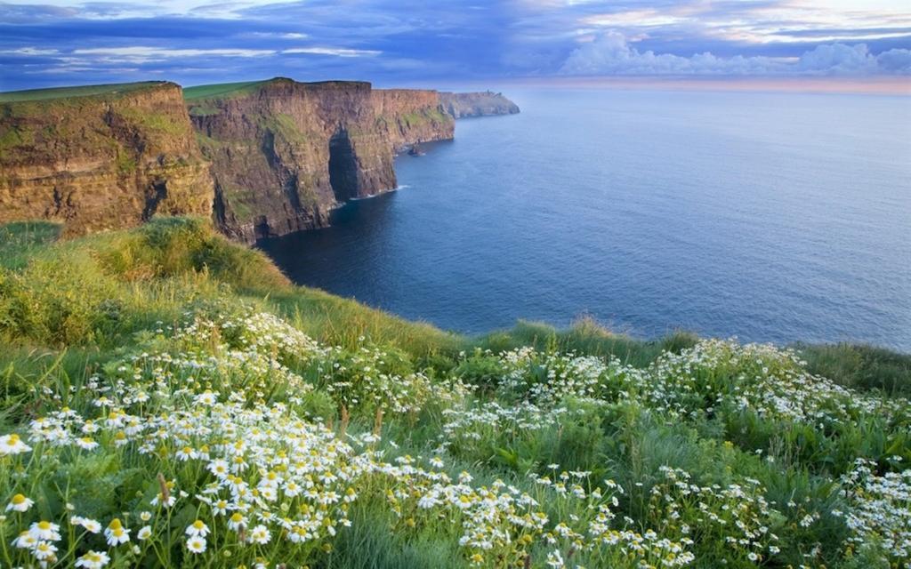 Griffin Bed & Breakfast Galway