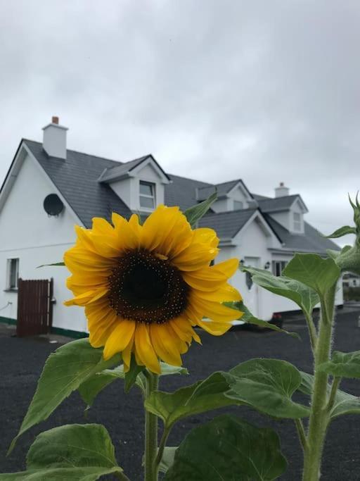 Curlews Rest - Gateway To The Aran Islands