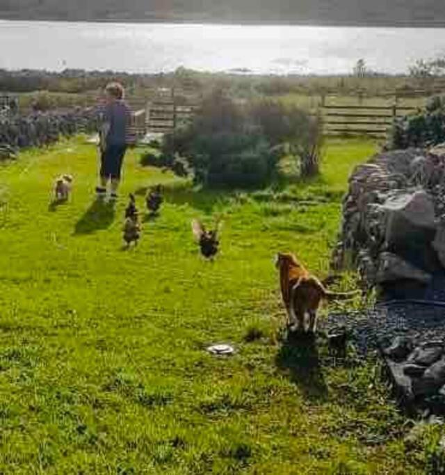 Apartment Curlews Rest - Gateway To The Aran Islands Galway