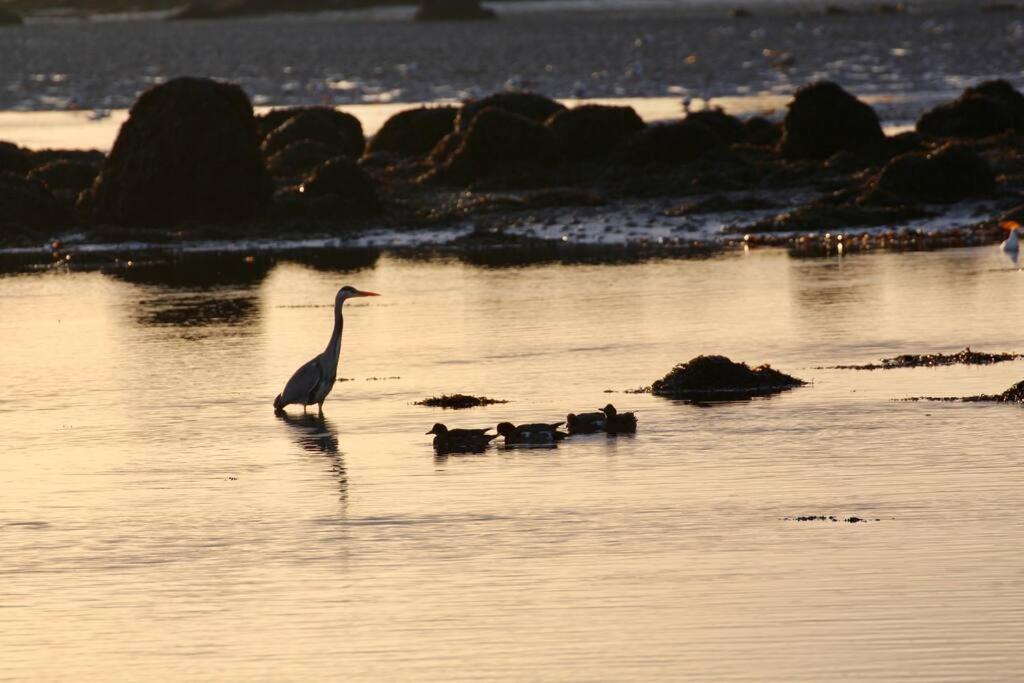 Curlews Rest - Gateway To The Aran Islands