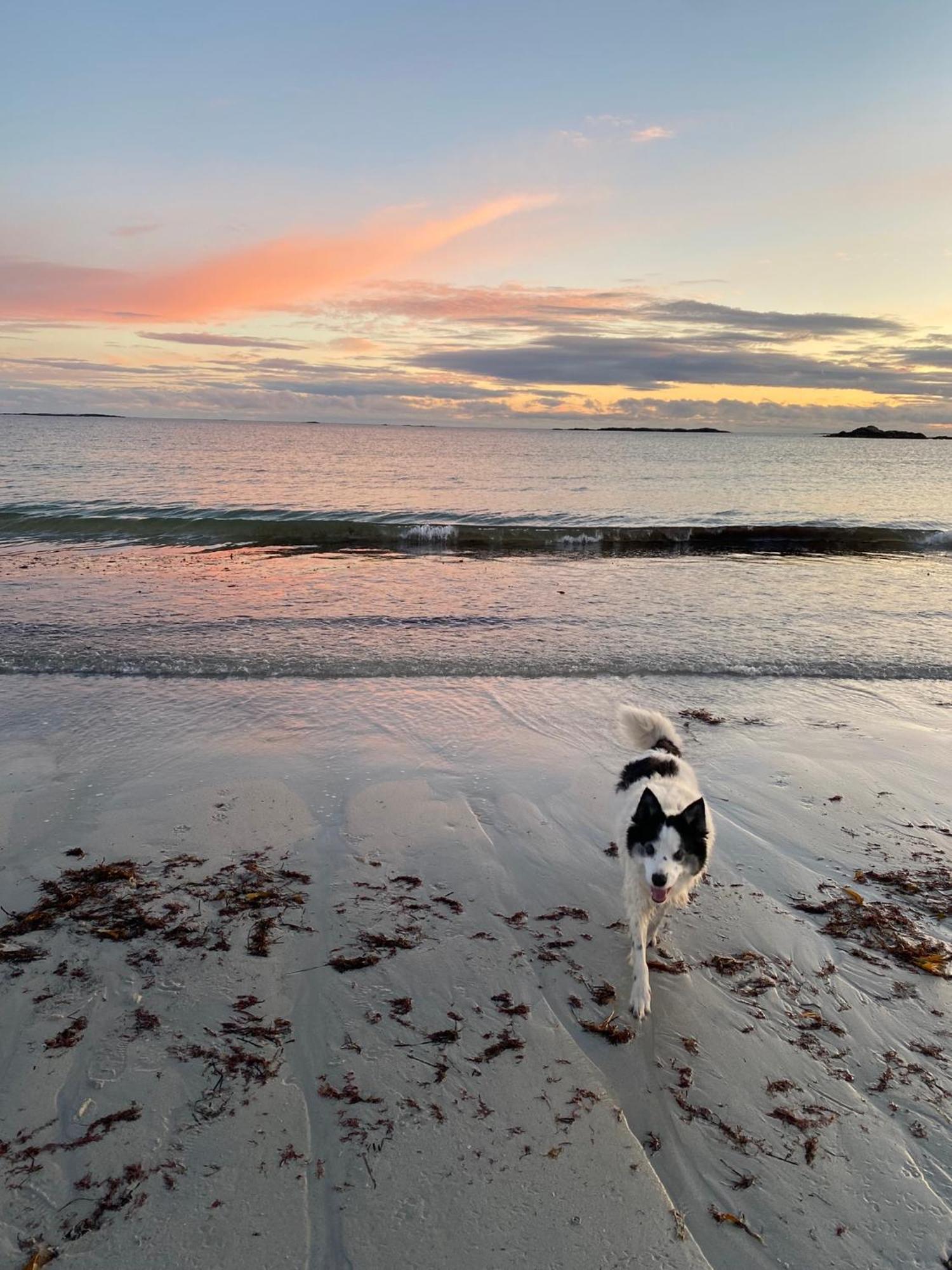 Furthest Point West Homestay Galway