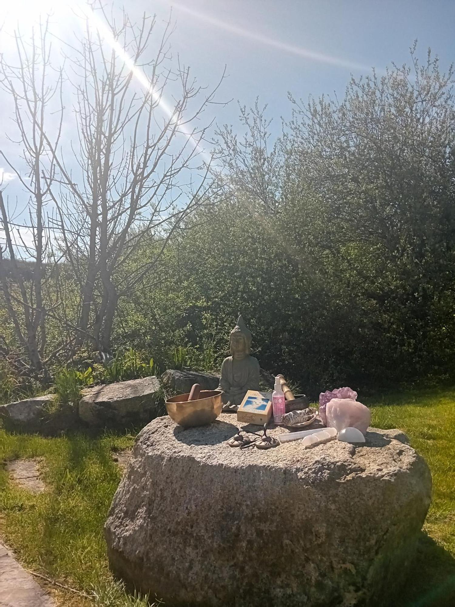 Apartment Garden Galway