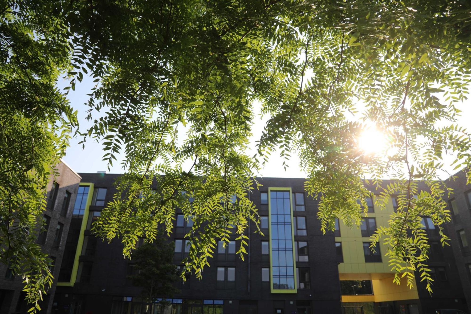 Hostel Of *