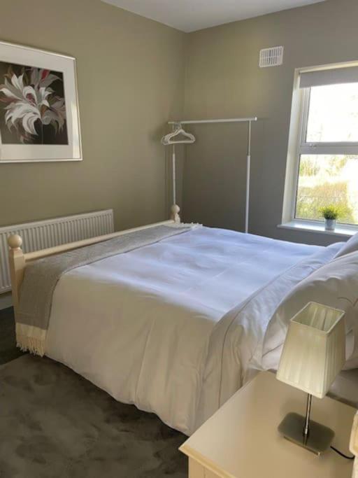 Villa Charming House On Taylors Hill With Free Parking Galway