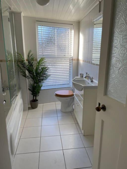 Charming House On Taylors Hill With Free Parking *
