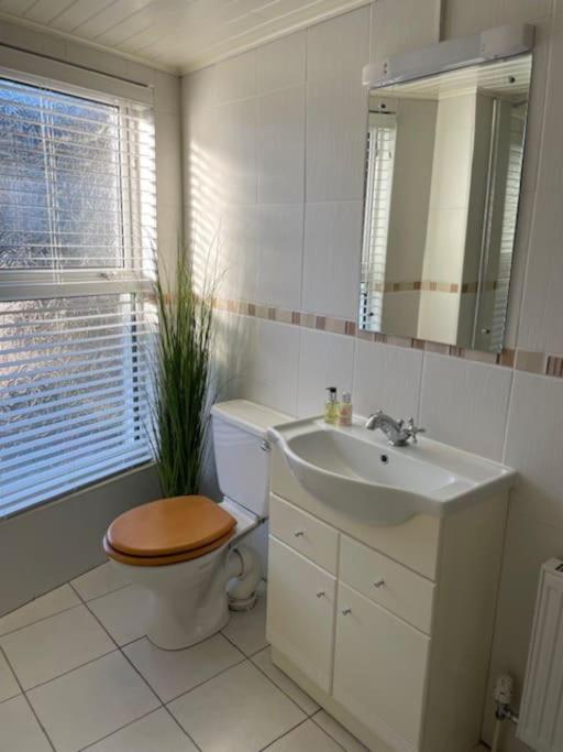 Charming House On Taylors Hill With Free Parking *