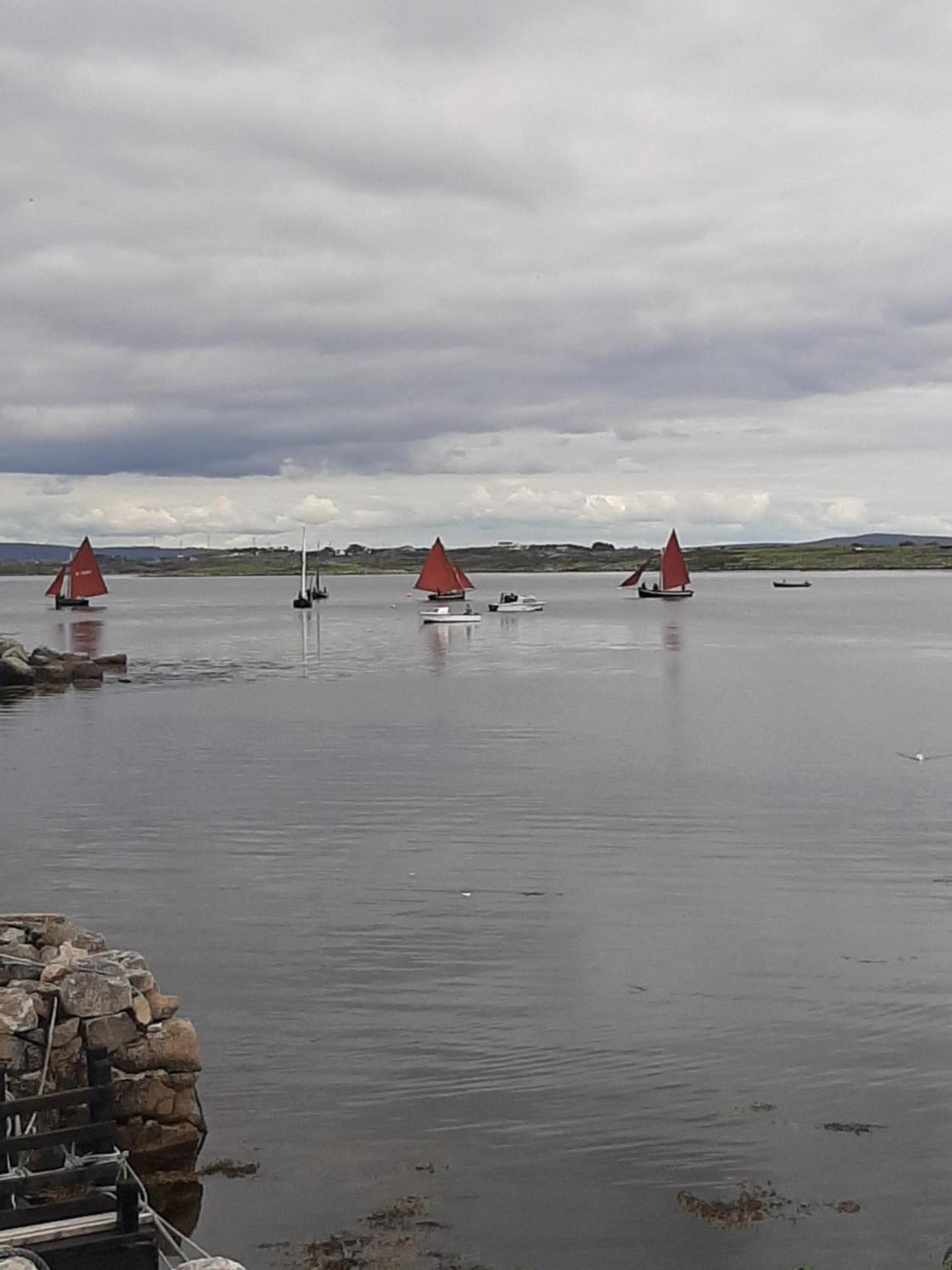 The Haven Galway