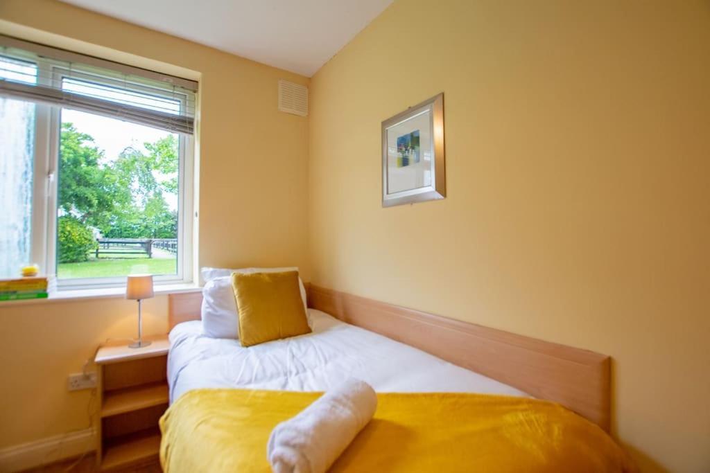 Apartment 16 - Spacious With Parking *