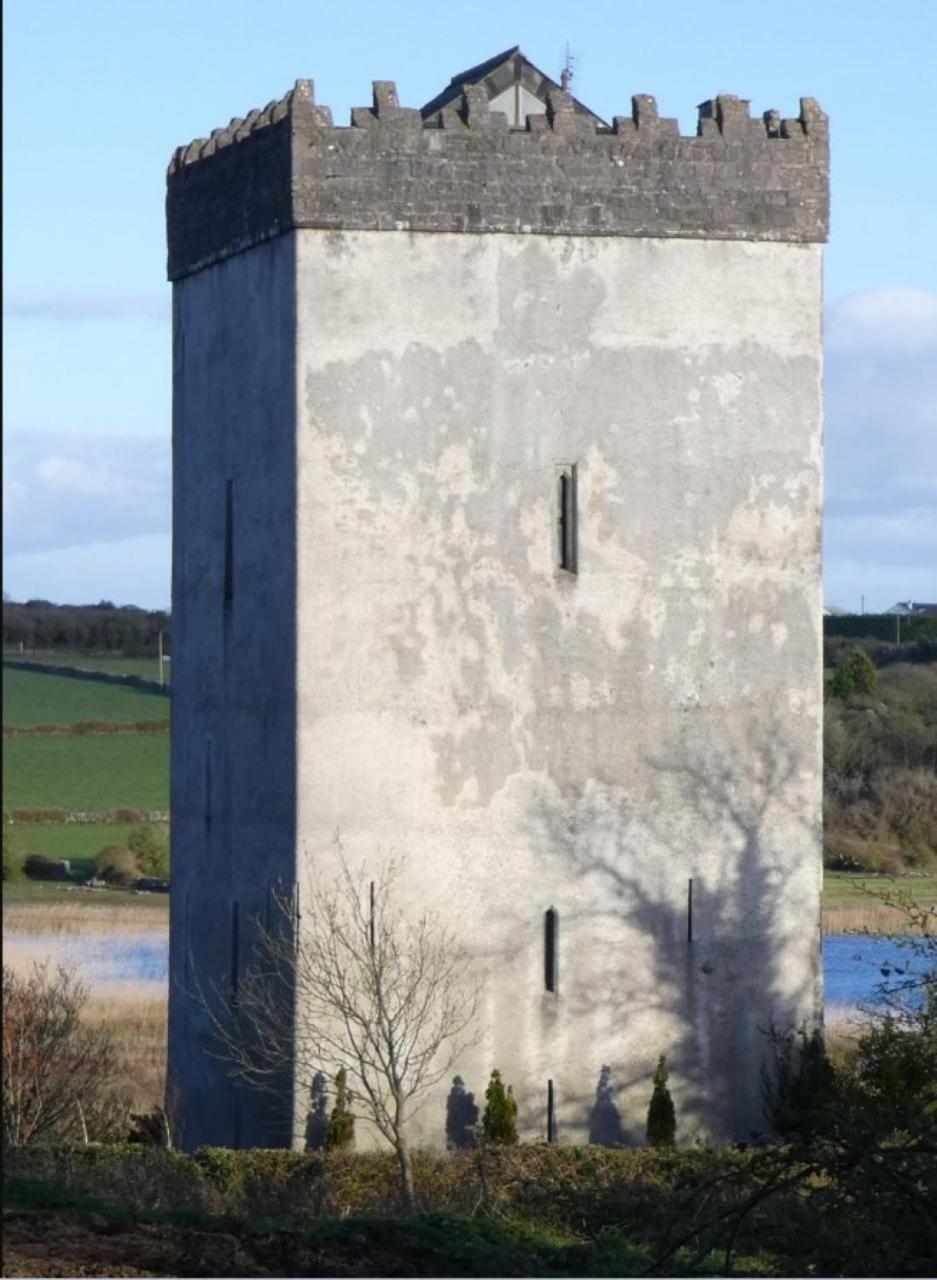 Holiday home Ballindooley Castle *