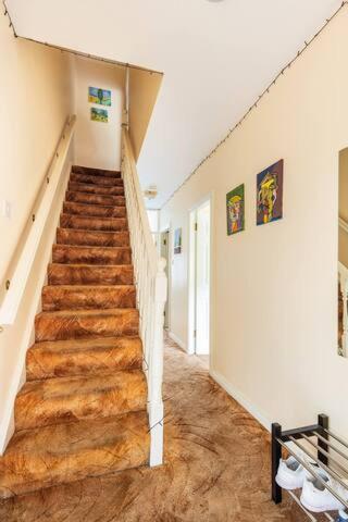Rooftop Hidden Gem Homestay Galway