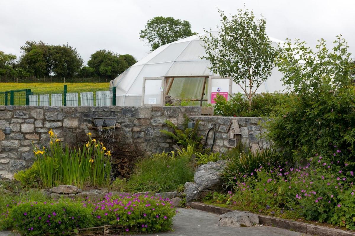Burren Nature Sanctuary * Galway