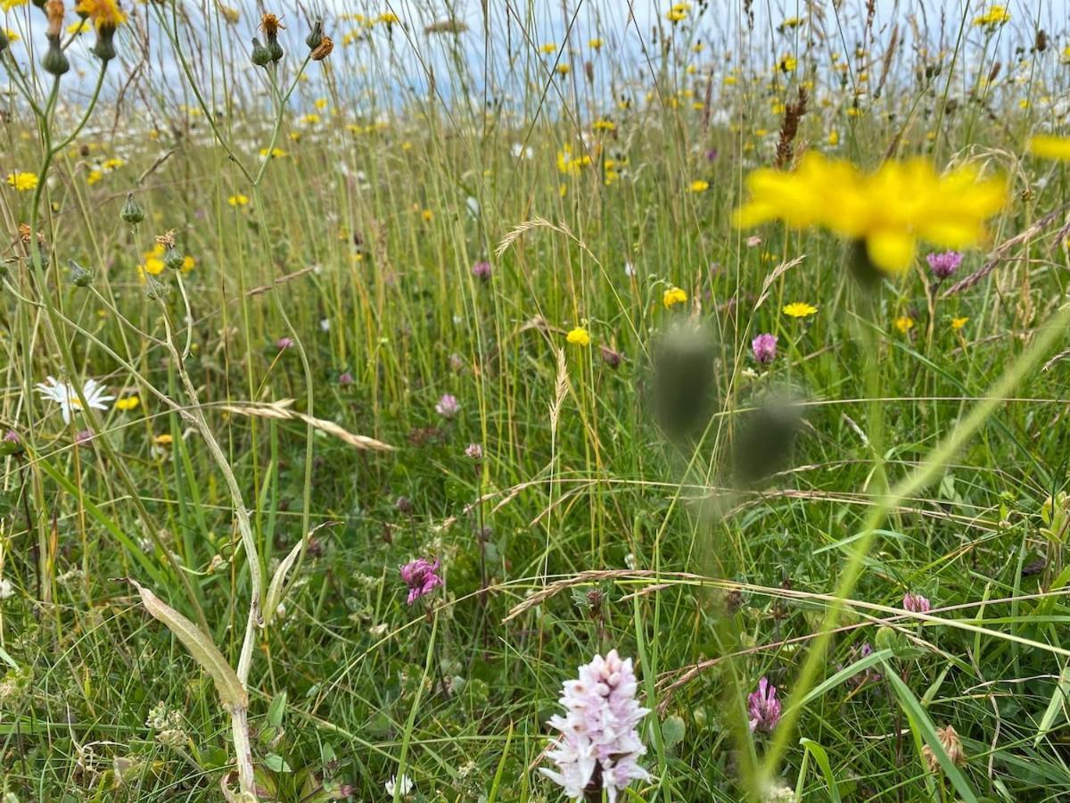 Burren Nature Sanctuary Apartment Galway